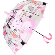 透明伞雨伞儿童伞男女孩卡通赛车小学生伞自动雨伞
