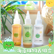 marimo海藻球营养液球藻，微景观生态瓶水培，植物家用通用肥料用品