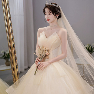 主婚纱礼服2024新娘抹胸香槟法式高级感齐地简约复古轻婚纱