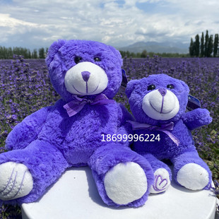 新疆伊犁薰衣草小熊紫色泰迪熊公仔毛绒玩具女生生日礼物安神助眠