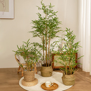 高级仿真绿植竹子盆栽室内客厅新中式禅意造景假竹子植物装饰摆件