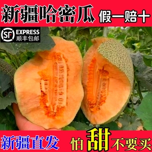 正宗新疆哈密瓜吐鲁番西州蜜25号网纹爆甜瓜新鲜水果一箱