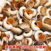 新鲜香螺鲜活 田螺青岛海鲜水产特产新鲜贝类大田螺小海螺泥螺