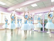 专业芭蕾舞裙成人女演出服儿童，长款吊带蓬蓬，纱裙幼儿天鹅跳舞蹈裙