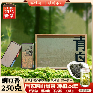 正宗崂山绿茶2023春茶叶礼盒装，山东青岛特产，豌豆香足耐泡送礼佳品
