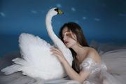 仿真羽毛白天鹅模型橱窗，居摆件婚礼舞台，装饰鹅影视摄影道具