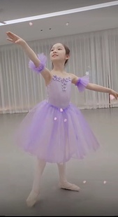 芭蕾演出服儿童专业舞裙比赛舞蹈纱裙浅紫色长裙儿童芭蕾舞蓬蓬裙