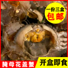 大连庄河海鲜 腌制新鲜花盖蟹 生卤鲜活小螃蟹 海螃蟹3盒装