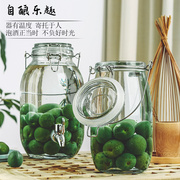 玻璃泡酒瓶密封罐杨梅青梅，酒瓶家用自酿泡菜，坛子带龙头葡萄酒瓶