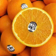 美国新奇士(新奇士，)3107黑标橙新鲜水果进口橙子5斤