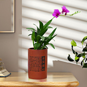 香水石斛兰盆栽带花苞植物室内客厅桌面精致好养花卉绿植四季开花
