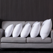 抱枕芯沙发靠垫芯汽靠垫芯护腰枕45505560方形内胆枕芯可定制