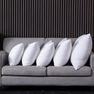 抱枕芯沙发靠垫芯汽靠垫，芯护腰枕45505560方形，内胆枕芯可定制