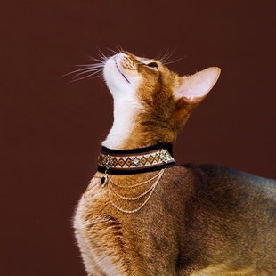 两短一长埃及07原创阿比猫，项链流苏高贵丝绒项圈生日礼物拍照