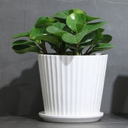 简约白色陶瓷花盆，带托盘创意吊兰绿植盆栽，多肉植物盆