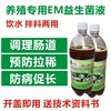 禽用益生菌鸡用肠道活菌em菌液养殖猪牛羊鸽子兽用调理肠胃防拉稀