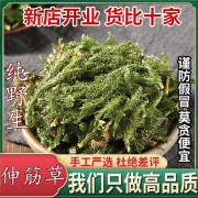 云南野生伸筋草500g 新鲜 绿色舒筋草泡脚另售远志透骨草益智仁茶