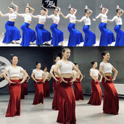 傣族舞蹈服装练功服鱼尾裙，半身裙舞裙长裙孔雀，舞蹈表演服装艺考