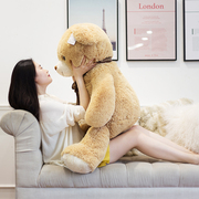 泰迪熊猫毛绒玩具熊，特大号布娃娃公仔女生抱抱熊，可爱超大玩偶抱枕