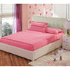 床笠单件床罩1.8m床套床垫，保护套防滑棕垫，套1.5米床单银杏叶1.5mx