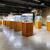 模型展示柜台玉器展柜玻璃柜子透明博物馆文物陈列柜单品展览