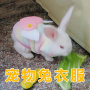 兔子衣服保暖秋冬天可爱宠物小侏儒茶杯兔专用穿的小型兔宝宝衣服