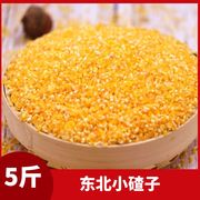 黑龙江东北玉米碴小碴子苞米糁5斤农家自产棒碴子粥粒五谷杂粮