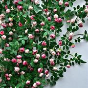 仿真玫瑰花假花空调管道，装饰花藤条遮挡塑料藤蔓，植物摆设吊顶墙面