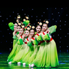 大童舞蹈服儿童女孩古典舞演出服六一表演服装中国风女童练功服夏