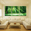 房间无框画沙发背景墙三联画壁画现代客厅装饰画森林水晶画