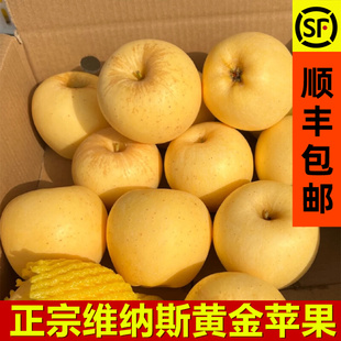正宗山东维纳斯黄金奶油，富士苹果新鲜当季整箱5斤孕妇水果