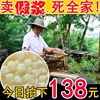 24年春浆新鲜蜂王浆初蜂乳油菜野生天然农家自产纯蜂皇浆500g