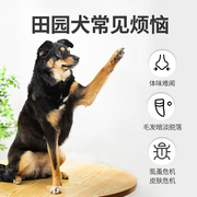 中华田园犬沐浴露土狗幼犬，专用洗澡用品抑菌除臭宠物狗狗香波浴液