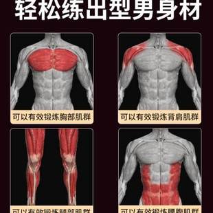 专业哑铃男士健身家用电镀实心纯铁20公斤杠铃30kg可调节重量器材