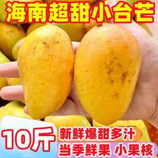 海南特产超甜小台芒10斤芒果新鲜水果，应当季整箱，大热带鲜果台农芒