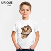 3d立体萌猫咪橘猫图案，莫代尔儿童t恤男童装短袖圆领可爱动物创意