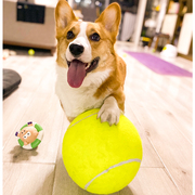狗玩具球充气网球超大柯，基法斗宠物狗磨牙解闷神器狗狗十倍快乐球