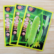 海阳白玉黄瓜种子种籽孑白食用白色高产籽种，四季阳台盆栽水果蔬菜