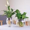 客厅绿萝水培玻璃花瓶水养，植物花盆透明大号器皿，富贵竹瓶小型鱼缸