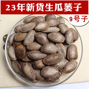 生瓜蒌子新货瓜蒌子生的大颗粒非吊瓜子9号籽7号安庆特产散装