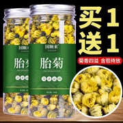 菊花茶胎菊罐装特级桐乡胎菊王通用杭白菊花茶贡菊花茶泡茶水