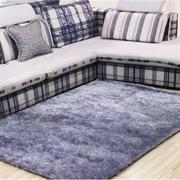 加密加厚韩国丝地毯 亮丝客厅地毯 细丝沙发地毯 飘窗地垫 床边垫