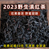 2023新茶云南云南野生古树滇红茶，正宗特级浓香型红茶叶自己喝250g