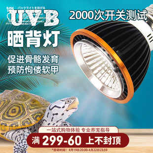 乌龟晒背灯uvb灯uva全光谱，led太阳灯龟缸爬虫乌龟灯补钙三合一
