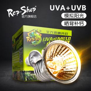 三合一乌龟缸晒背灯加热爬虫爬宠陆龟蜥蜴，饲养盒箱灯泡uva+uvb