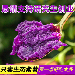 紫薯新鲜地瓜紫心蜜薯种薯现挖沙地番薯山芋农家自种蔬菜5斤