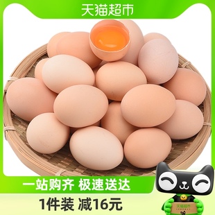 晨诚新鲜土鸡蛋正宗农家散养柴鸡蛋自养笨鸡蛋45g*50枚谷物草鸡蛋