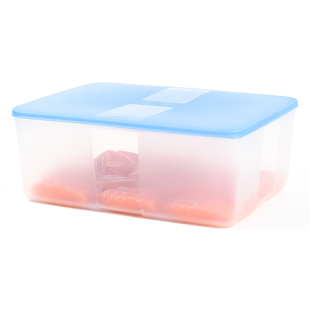 特百惠 5.6L加大冷冻保鲜盒 冰箱长方形大容量塑料冷藏收纳储藏盒