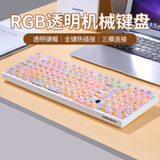 赤暴HW98三模透明2.4G无线蓝牙机械键盘红茶青轴女生办公游戏RGB