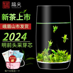 苦丁茶特级小叶苦丁茶2024新茶叶四川青山绿水米芽